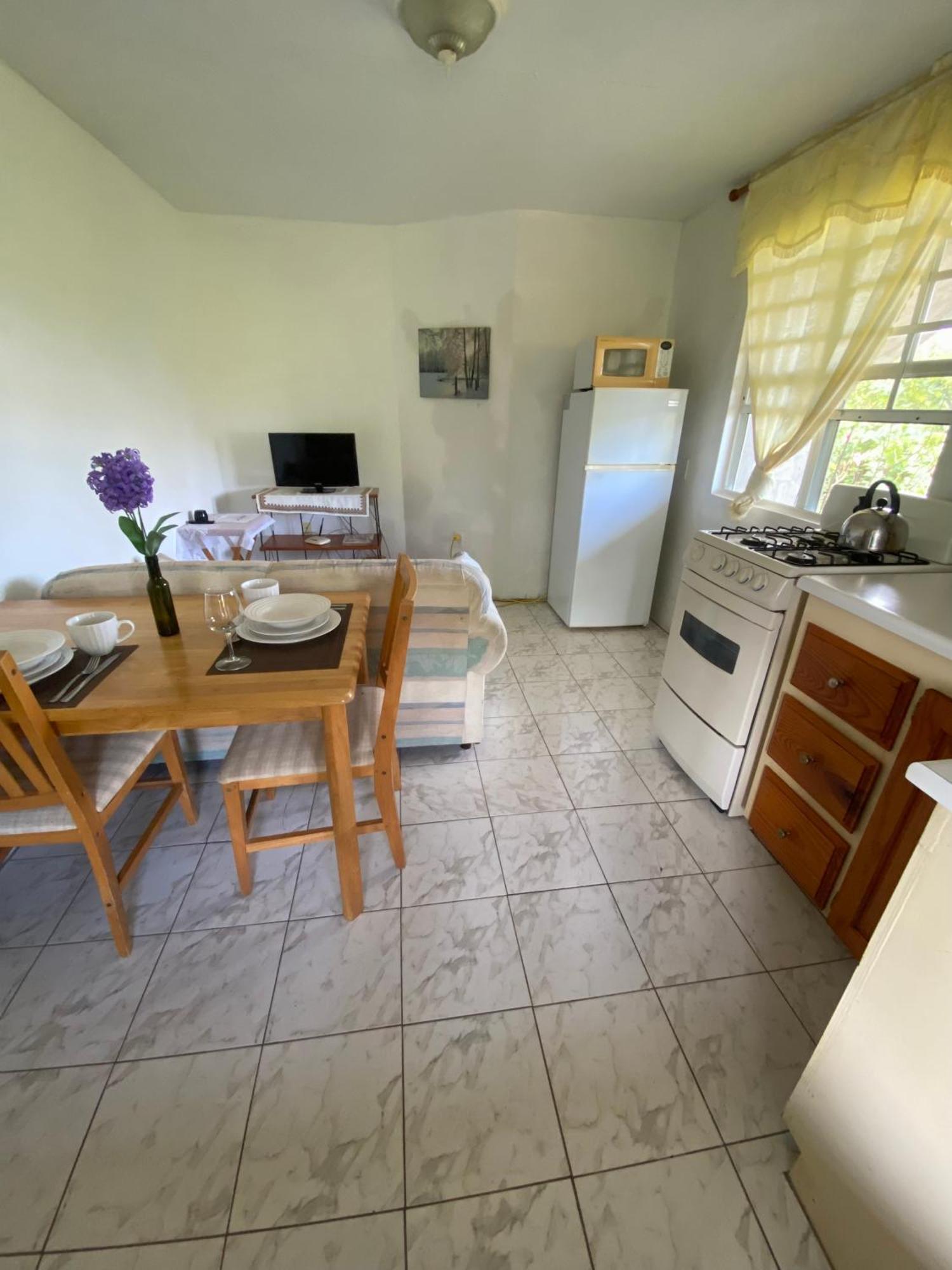Appartement Coconut House Charlestown Nevis Extérieur photo