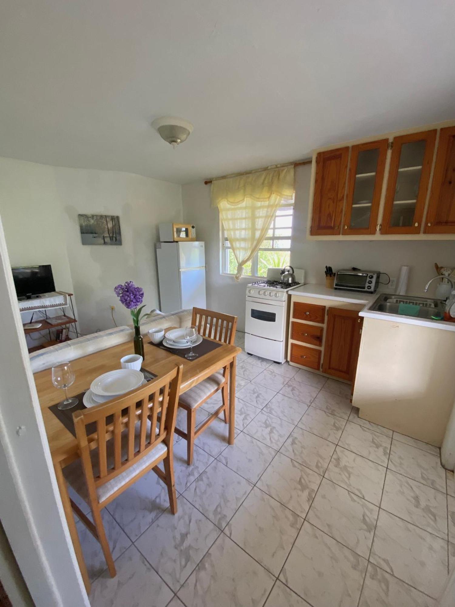 Appartement Coconut House Charlestown Nevis Extérieur photo