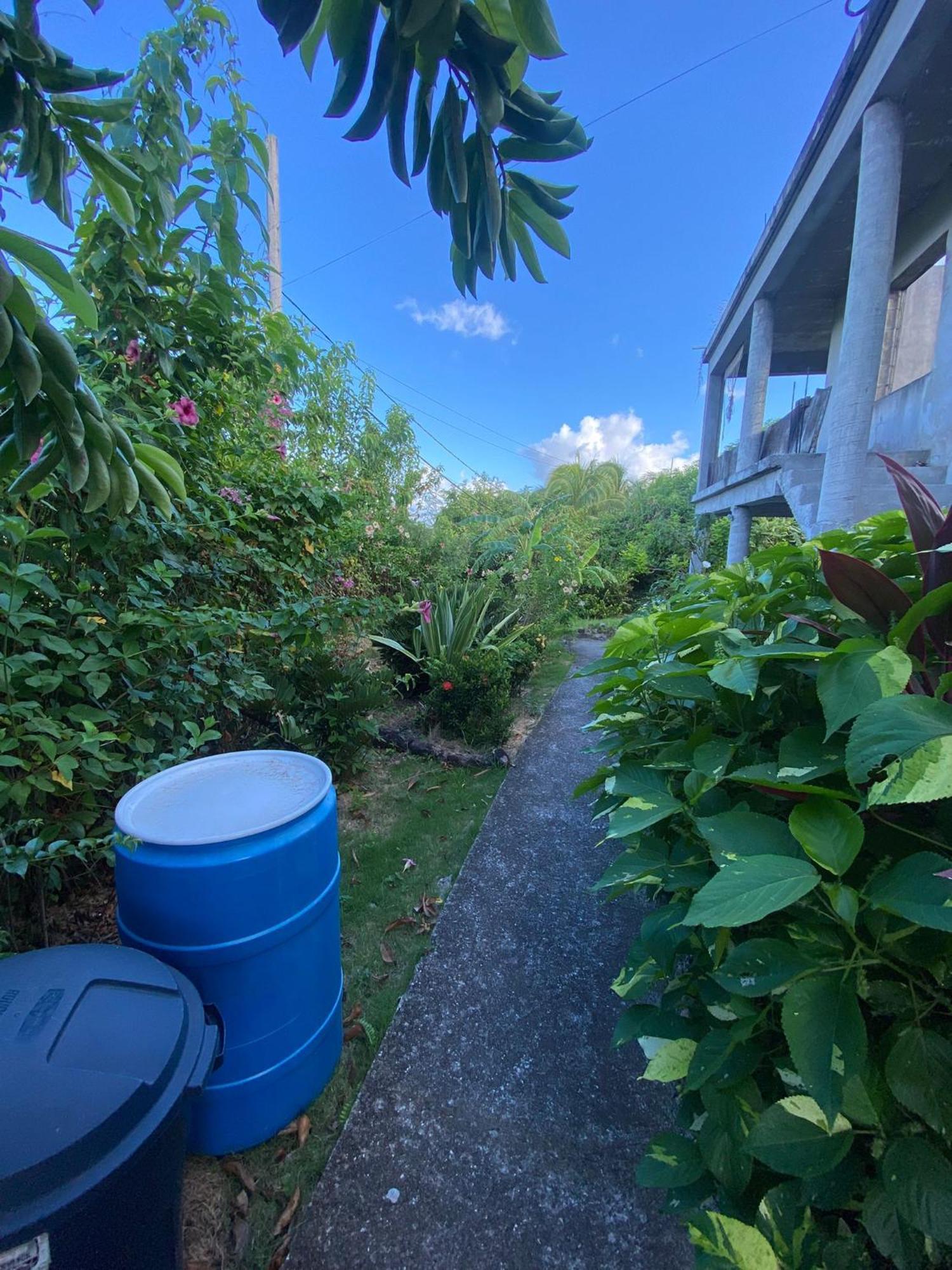 Appartement Coconut House Charlestown Nevis Extérieur photo