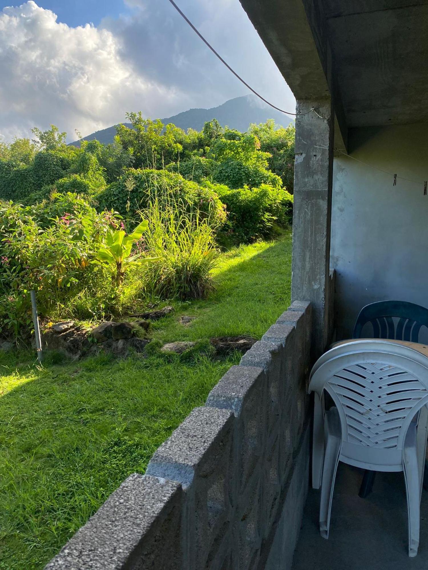 Appartement Coconut House Charlestown Nevis Extérieur photo