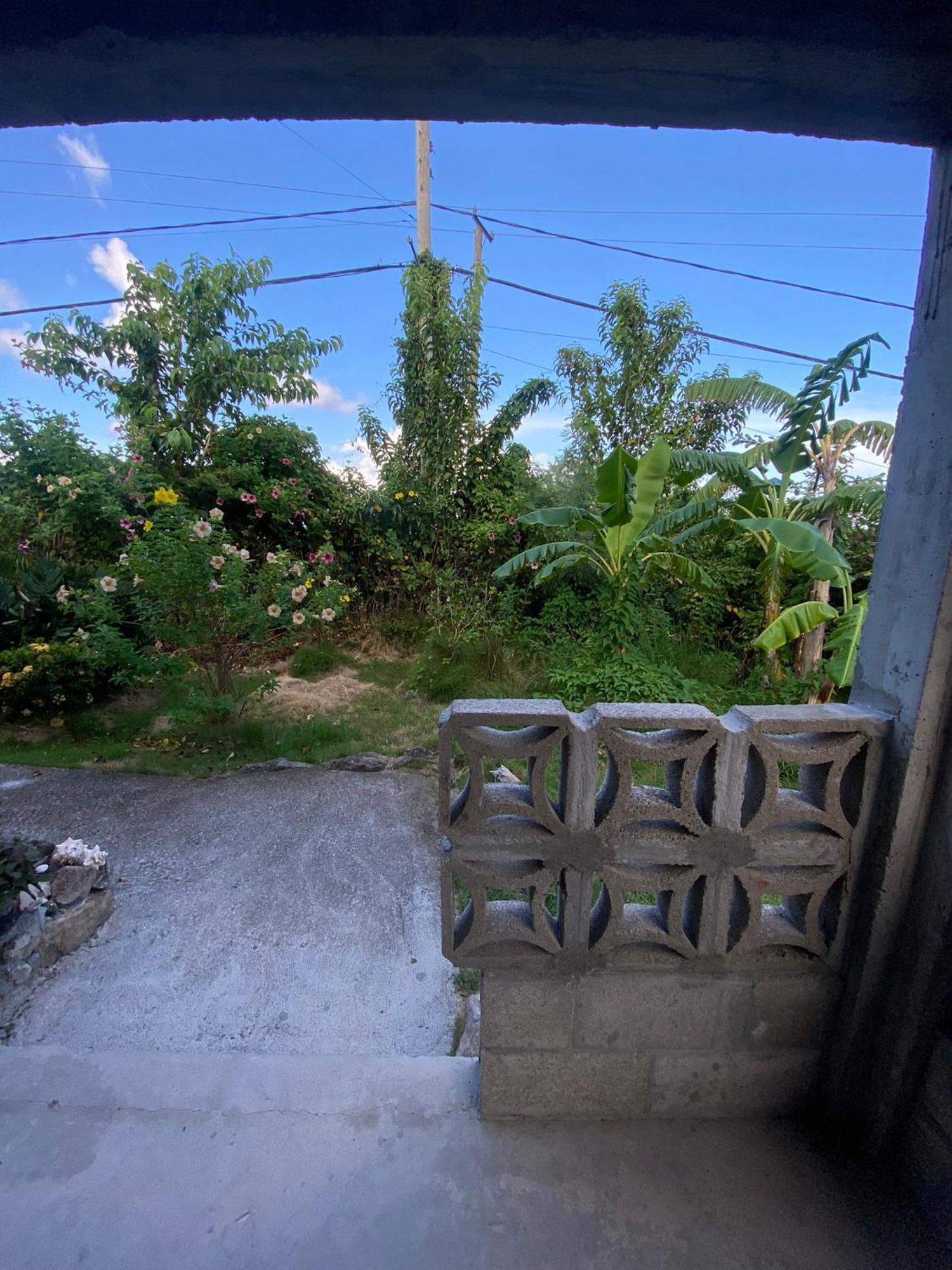 Appartement Coconut House Charlestown Nevis Extérieur photo
